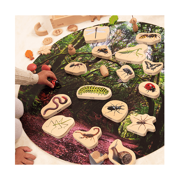 Bloques madera insectos. Set de 15