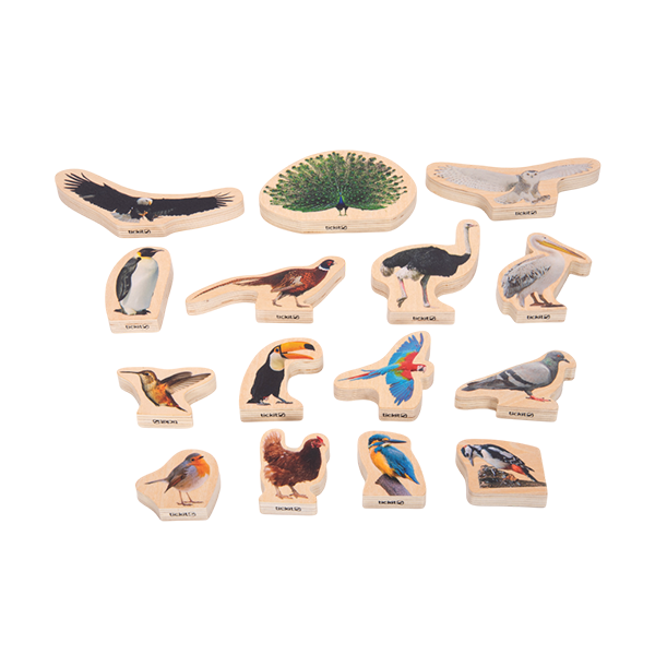 Set de 15 bloques de madera de pájaros