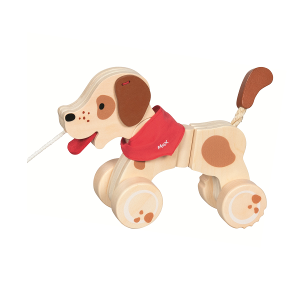 Arrastre perro Max