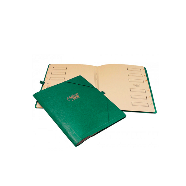 Carpeta gomas clasificadora Verde