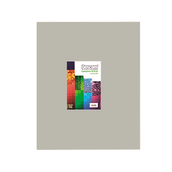Pack 25 h. cartulina Gris 50x65 cm